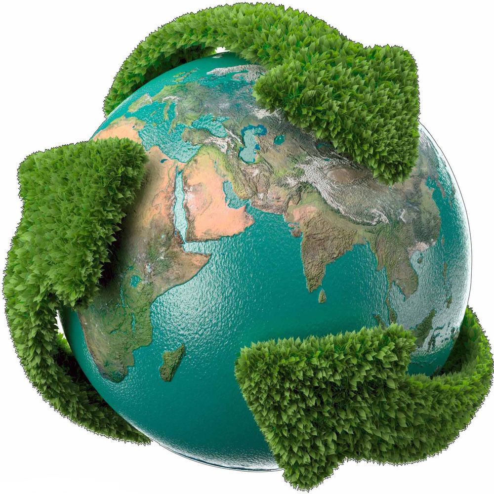 Bracom Preocupação Ambiental